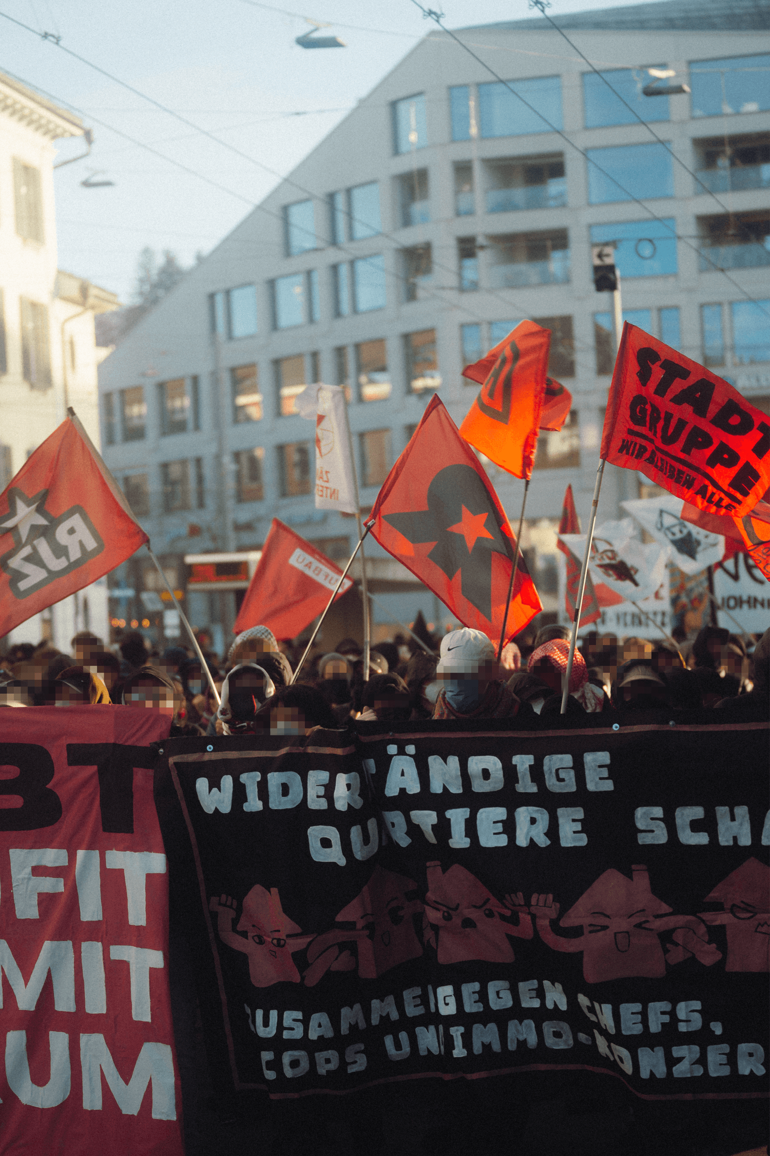 Fahen im Frontblock der Demo